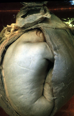 24Sculpture