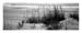 afife050