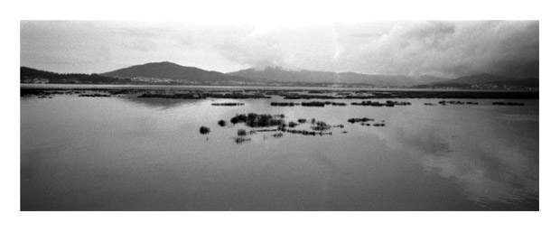caminha008