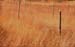 Alendouro_21