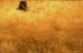 Alendouro_38