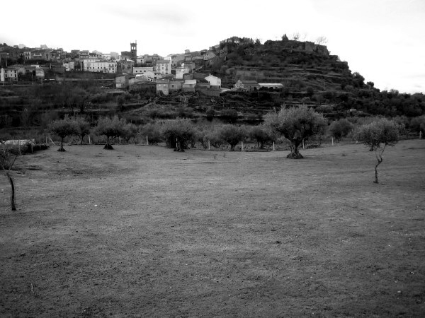 IMG_0082_BW