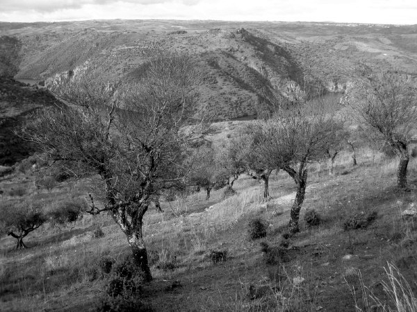 IMG_0103_BW