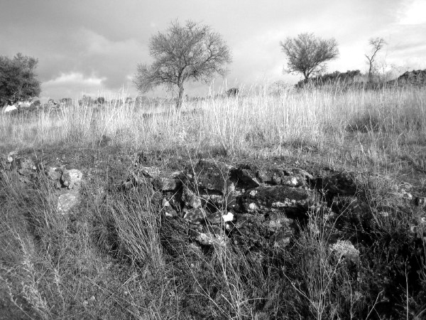 IMG_0111_BW
