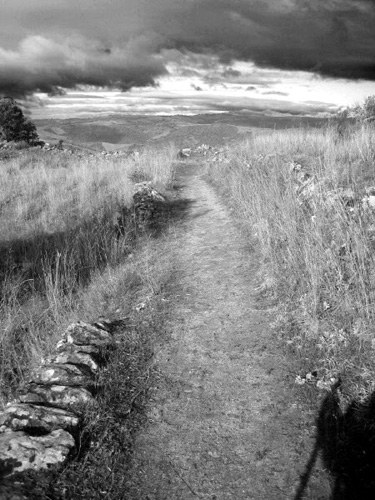 IMG_0113_BW_V1