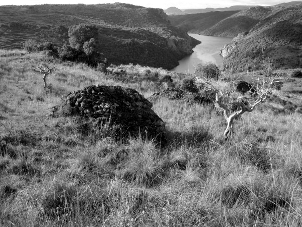 IMG_0129_BW