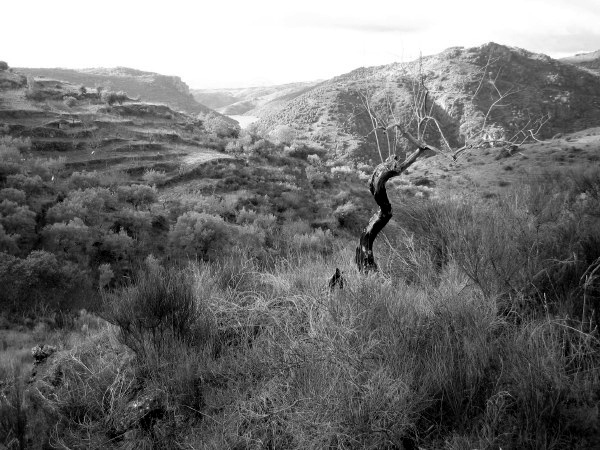 IMG_0138_BW