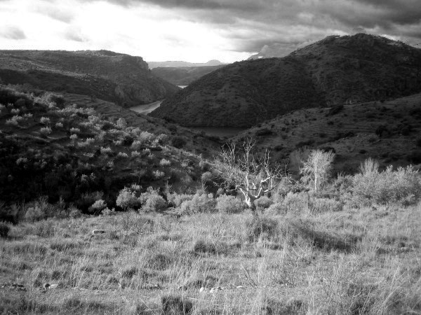 IMG_0144_BW_V1
