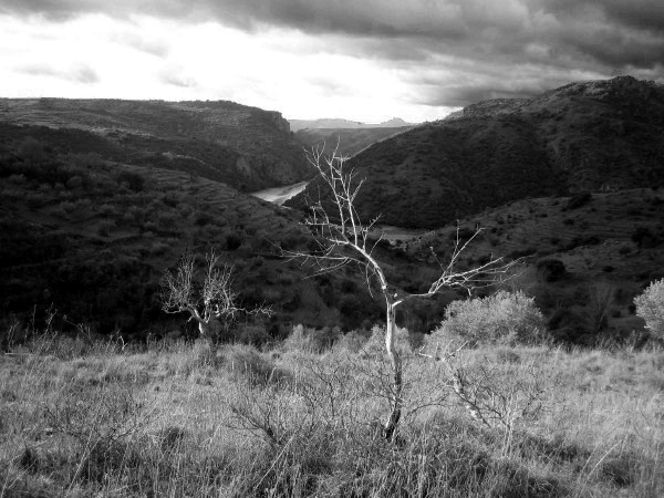 IMG_0145_BW_V2