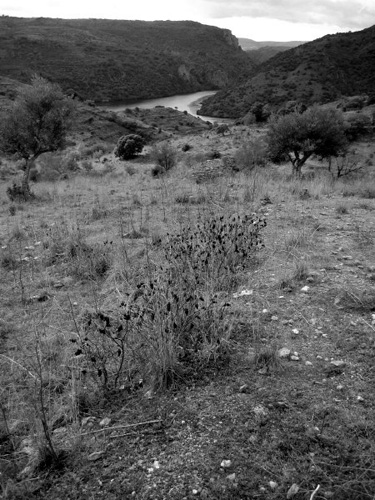 IMG_0166_BW