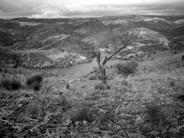 IMG_0183_BW