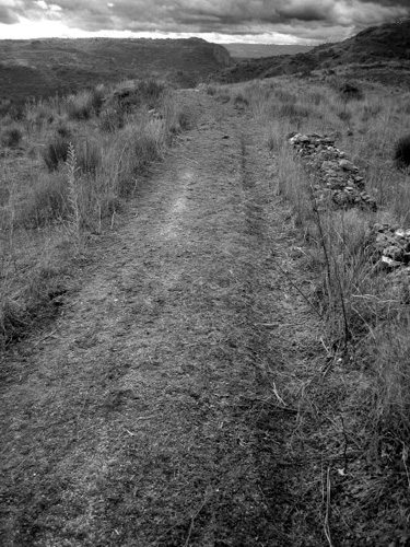 IMG_0185_BW_V1